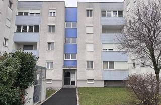 Wohnung mieten in 2351 Wiener Neudorf, Gemütliche 2-Zimmer-Wohnung mit Loggia in Wiener Neudorf