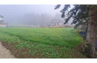 Grundstück zu kaufen in 4441 Badhof, Smartes Grunstück unweit von Steyr!