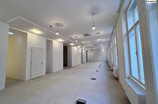 Büro zu mieten in Rudolfsplatz, 1010 Wien, 360° TOUR // GROSSRAUM - ALTBAUBÜRO nahe RUDOLFSPLATZ