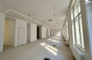 Büro zu mieten in Rudolfsplatz, 1010 Wien, 360° TOUR // GROSSRAUM - ALTBAUBÜRO nahe RUDOLFSPLATZ