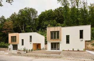 Einfamilienhaus kaufen in 3011 Untertullnerbach, SAGENHAFT - Nachhaltige Massivholz-Einfamilienhäuser