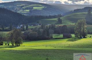 Gewerbeimmobilie kaufen in 8162 Passail, Sonniges Baugrundstück im steirischen Almenland nahe dem Golfplatz!