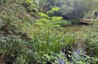 Haus kaufen in 8200 Gleisdorf, Einmalige Gelegenheit in Gleisdorf - ca. 1.100 m² Grundstück mit Altbestand in Ruhelage!