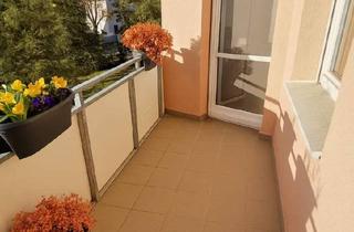 Wohnung mieten in 2000 Stockerau, Große 4,5 Zimmer Wohnung ablösefrei im grünen Stockerau