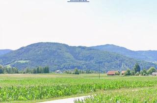 Grundstück zu kaufen in 9473 Hart, Bauträgerobjekt: Sehr Gut Bebaubares, Ebenes Grundstück in Kärnten (Draugegend)