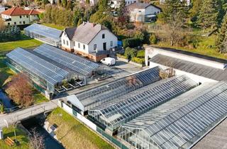 Lager kaufen in Tulbing, Königstetten, Wilfersdorf, 3434 Katzelsdorf, Gärtnerei nahe Tulln & Wien: Betriebsimmobilie mit Glashäusern, Außenflächen, Lagerhalle und Wohnhaus