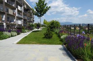 Wohnung mieten in Brauquartier, 8055 Graz, Brauquartier Puntigam - modernes Wohnen