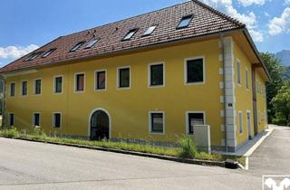 Haus kaufen in 4563 Micheldorf, Liebevoll renoviertes Ertragsobjekt mit 14 Wohneinheiten incl. Bauland