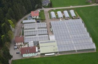 Gewerbeimmobilie kaufen in Danzenreith 28, 4890 Danzenreith, Gärtnerei mit 2 Wohn+ Geschäftsimmobilien zu Verkaufen