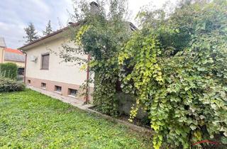 Haus kaufen in Hausfeldstraße, 1220 Wien, Gewerbeimmobilie - Etablissement-Freudenhaus!