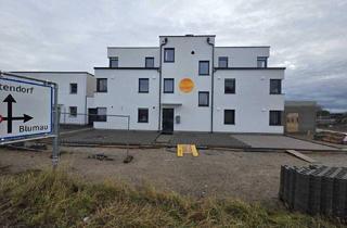 Wohnung kaufen in 2524 Teesdorf, Moderne 2-Zimmer-Wohnung in Teesdorf: Terrasse, zwei Stellplätze & Glasfaser für 250.000 €!