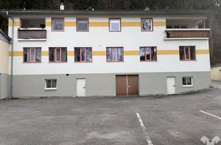 Haus kaufen in 8253 Arzberg, Ehemaliger Malereibetrieb mit 2 Wohnungen und großem Grundstück