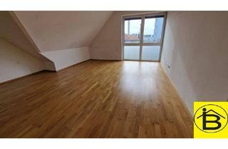 Wohnung mieten in 3100 Sankt Pölten, 15454 NEUER PREIS! VIEL PLATZ!