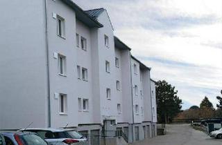 Wohnung mieten in Bahnstraße 21/4/10, 3701 Großweikersdorf, Geförderte 1-Zimmer Wohnung in MIete | ca. 39 m² | 2. Etage