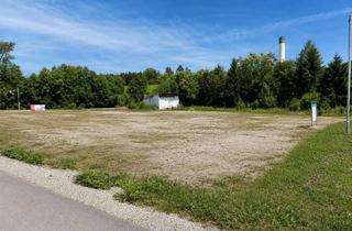 Grundstück zu kaufen in 4360 Grein, 3.553 m² Mischbaugrundstück in Grein | Aufgeschlossen | Eigener Trafo