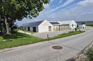 Immobilie mieten in 4073 Wilhering, Raum 2 Büro/Behandlungsraum/Praxis 4073 Wilhering - Reith