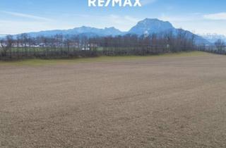 Grundstück zu kaufen in 4664 Laakirchen, Bauträger aufgepasst! Bauerwartungsland für 17 Bauparzellen!