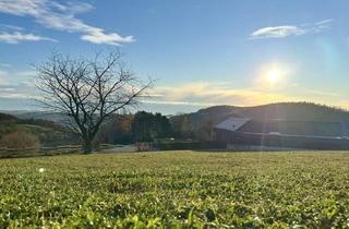 Grundstück zu kaufen in Zösenberg, 8045 Weinitzen, BEREITS 2 VON 4 VERKAUFT! Sonnige Aussichten garantiert - ein Grundstück für Ihr Traumhaus! Idyllisch & unvergleichlich! VEREINBAREN SIE JETZT IHREN BESICHTIGUNGSTERMIN!
