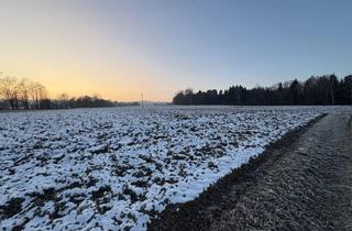 Grundstück zu kaufen in 4753 Taiskirchen im Innkreis, Landwirtschaftlicher Nutzgrund (Acker) in Taiskirchen