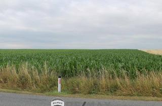 Immobilie kaufen in 2011 Sierndorf, "Landwirte aufgepasst!"