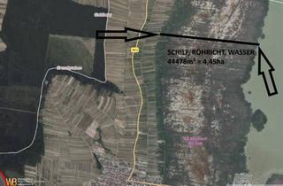 Gewerbeimmobilie kaufen in Weingartenweg, 7072 Mörbisch am See, Röhricht/Schilf und Wasserfläche in Mörbisch, 3 Grundstücke ~ 4,45 ha