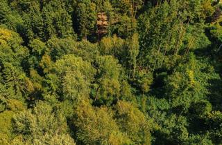 Gewerbeimmobilie kaufen in Pircha Weg, 8200 Pircha, Waldgrundstück nahe Graz – 22.301 m² nachhaltige Investmentchance!