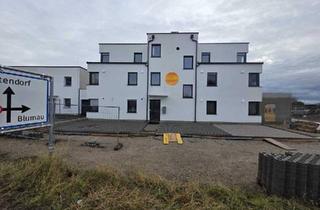 Wohnung kaufen in 2524 Teesdorf, Moderne 2-Zimmer-Wohnung in Teesdorf: Terrasse, zwei Stellplätze & Glasfaser für 250.000 €!