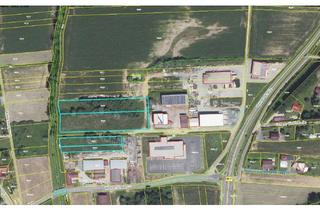 Grundstück zu kaufen in 7551 Stegersbach, aufgeschlossenes Betriebsgrundstück in Stegersbach