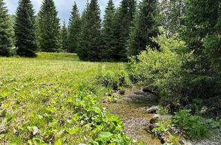 Grundstück zu kaufen in 9346 Glödnitz, FERN VON DER HEKTIK AUF DER FLATTNITZ