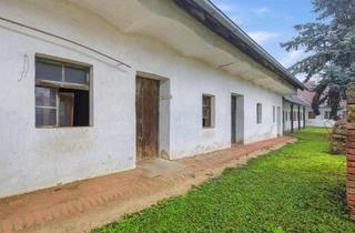 Bauernhäuser zu kaufen in 2031 Eggendorf im Thale, KERNSANIERUNG UND UMWIDMUNG ODER ABRISS UND NEUBAU NACH EIGENEN VORSTELLUNGEN!HISTORISCHER BAUERNHOF IM WEINVIERTEL!