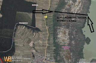 Grundstück zu kaufen in Weingartenweg, 7072 Mörbisch am See, Röhricht/Schilf und Wasserfläche in Mörbisch, 3 Grundstücke ~ 4,45 ha