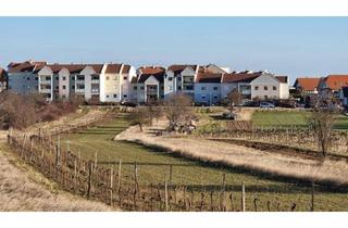 Wohnung kaufen in 7071 Rust, Großzügige Familienwohnung in der Storchenstadt Rust am See