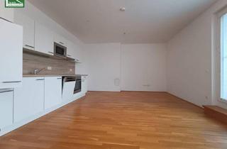 Wohnung mieten in Widerinstraße 18A, 3100 Sankt Pölten, Wundervolle Dachgeschosswohnung mit großer Dachterrasse