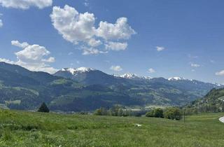 Gewerbeimmobilie kaufen in 8962 Gröbming, 5 ha Panorama-Bauernhof im Wachstumsgebiet – ideales Objekt für Betriebsentwicklung