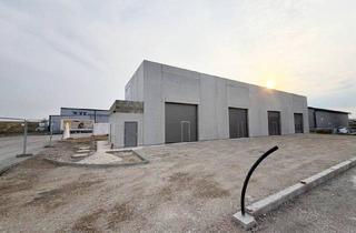 Gewerbeimmobilie kaufen in Teichstraße 12, 4481 Asten, Tolle Hallen im Gewerbegebiet Asten zum Kaufen! Im April bereits bezugsfertig!