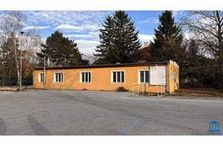 Büro zu mieten in 2700 Wiener Neustadt, Zentral gelegenes Haus / Bürogebäude nähe des Stadtparks Wiener Neustadt