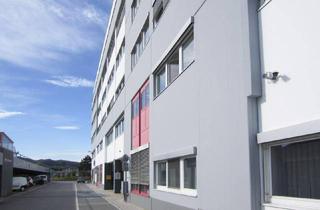 Büro zu mieten in 2351 Wiener Neudorf, Modernes Büro in Wr. Neudorf