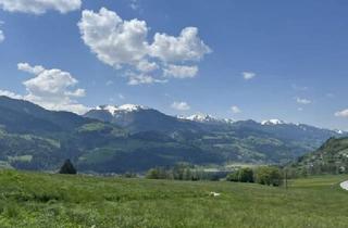 Grundstück zu kaufen in 8962 Gröbming, 13, 5 ha landw. Wiesen-/ Weideflächen - hervorragend maschinell bearbeitbar