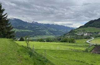 Agrarfläche kaufen in 8970 Schladming, 13 ha Pferdehof nahe Schladming