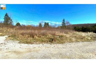 Grundstück zu kaufen in Am Hirschkogel, 2392 Stangau, ++ Guten Morgen Sonnenschein I MB IMMOBILIEN ++