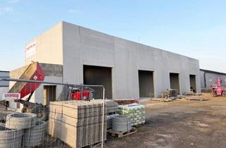 Lager kaufen in Teichstraße, 4481 Asten, Top 1! Rascher Baufortschritt im Gewerbegebiet Asten, nahe der Autobahnauffahrt!