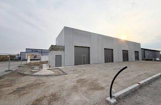 Lager kaufen in Teichstraße 12/1, 4481 Asten, Top 1! Rascher Baufortschritt im Gewerbegebiet Asten, nahe der Autobahnauffahrt!