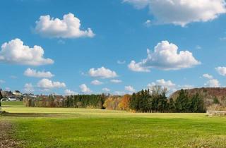 Grundstück zu kaufen in 4694 Ohlsdorf, Reserviert - Traumgrund in Ohlsdorf Unterthalham - Toplage, Grünblick, kein Bauzwang