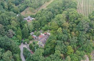 Haus kaufen in 1190 Wien, Einzigartiges Biedermeier-Juwel in nobler Döblinger Umgebung A\\