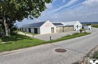 Immobilie mieten in 4073 Wilhering, Raum 2 Büro/Behandlungsraum/Praxis 4073 Wilhering - Reith