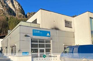 Gewerbeimmobilie mieten in 5082 Grödig, Produktion/Lager/Büro zur Miete