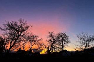 Wohnung mieten in 2821 Haderswörth, Nachmieter für Junges Wohnen gesucht