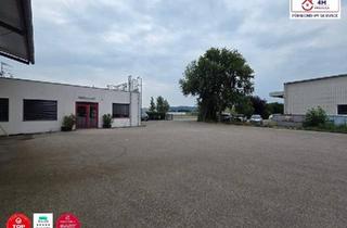 Geschäftslokal mieten in 3430 Tulln an der Donau, LAGERFLÄCHE ALL INCLUSIVE MIETE mit diversen Möglichkeiten! ab 50m2 bis 300m+ Autoabstellplätze + Mitbenutzung von Gabelstapler & Kran