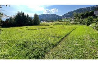 Grundstück zu kaufen in 2724 Stollhof, Traumhaftes Baugrundstück in bester Lage - Natur pur & Weitblick inklusive!