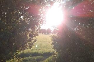 Wohnung mieten in 2331 Vösendorf, Wohnung mit Grünblick! - Wohnen im Seepark Vösendorf